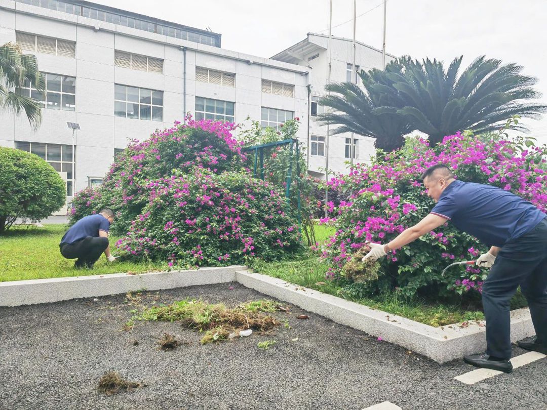 YABO鸭脖党支部开展“助力唐昌镇‘五清行动’,绘就生态振兴新图景”主题党日活动